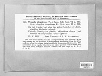 Image Associated With the Occurence